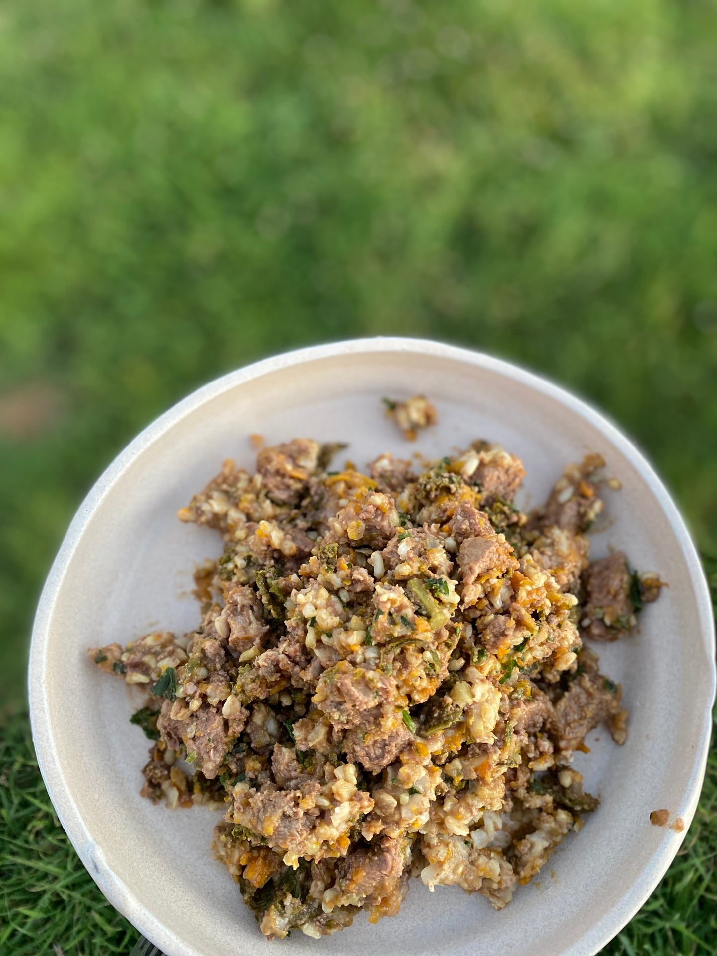 Pawstone Beef Pet Meal – Complete & Balanced Nutrition