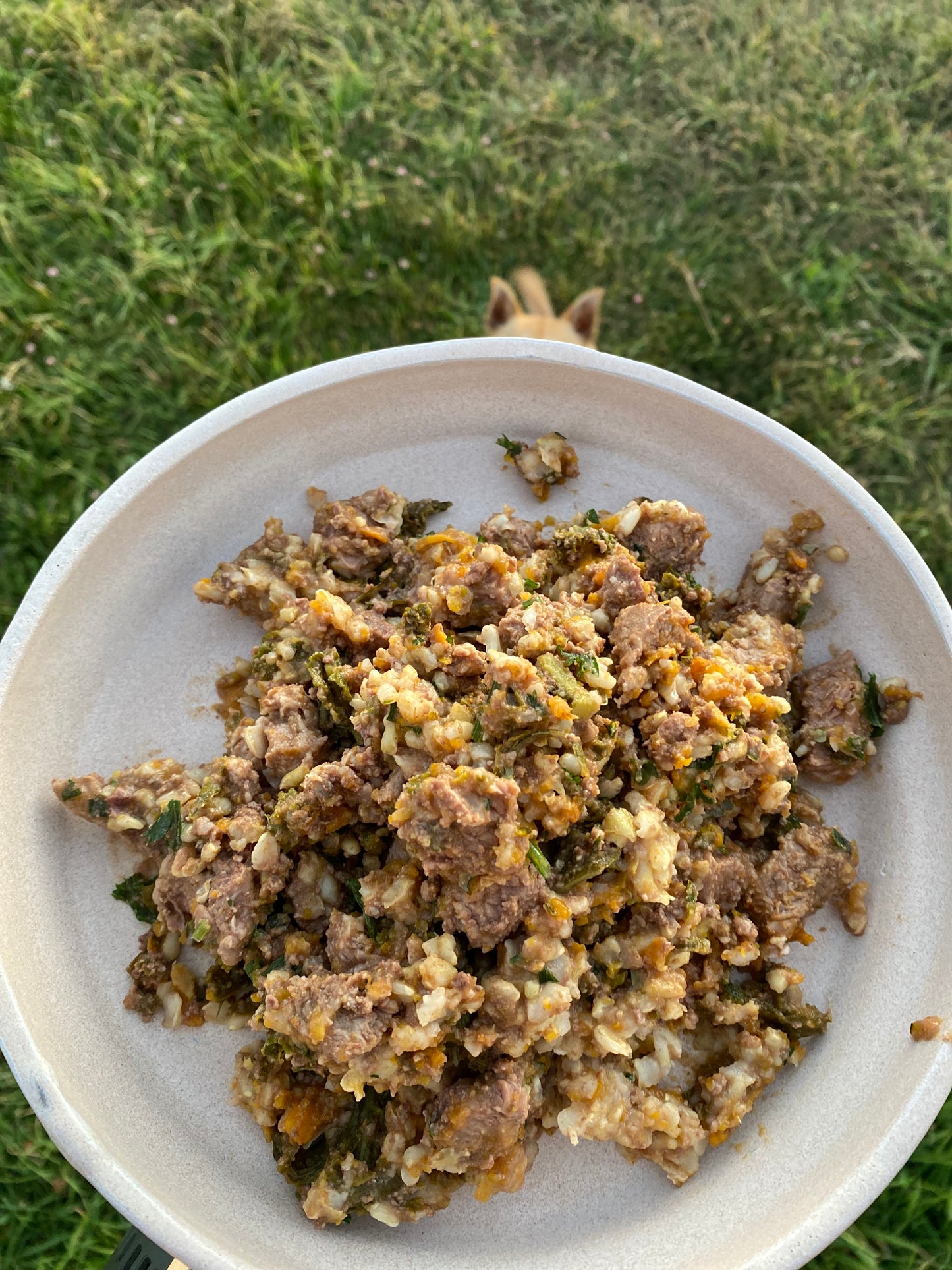 Pawstone Chicken Pet Meal – Complete & Balanced Whole Food